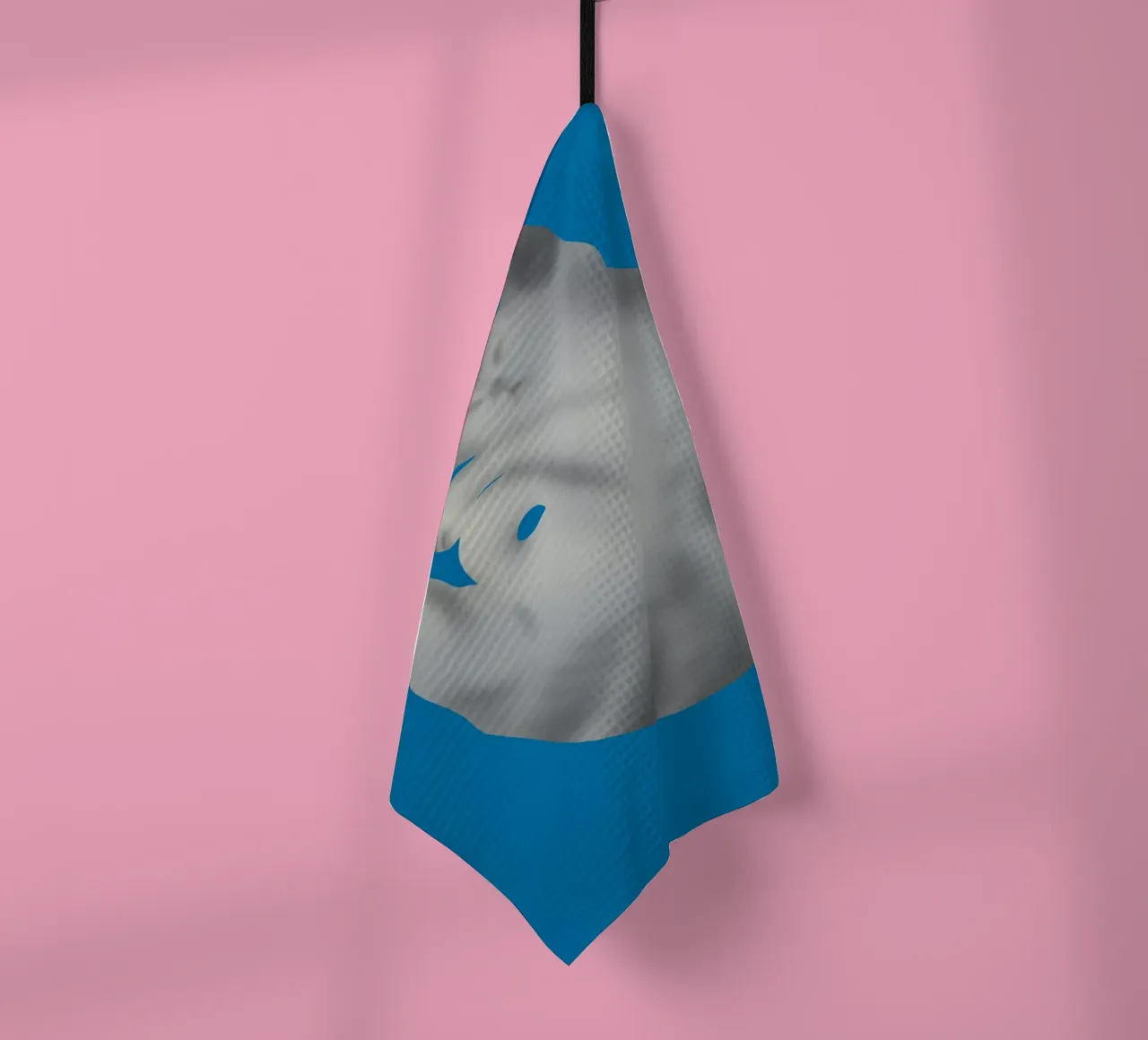 Ritratto di gatto in argento canovaccio da cucina da Little Dean