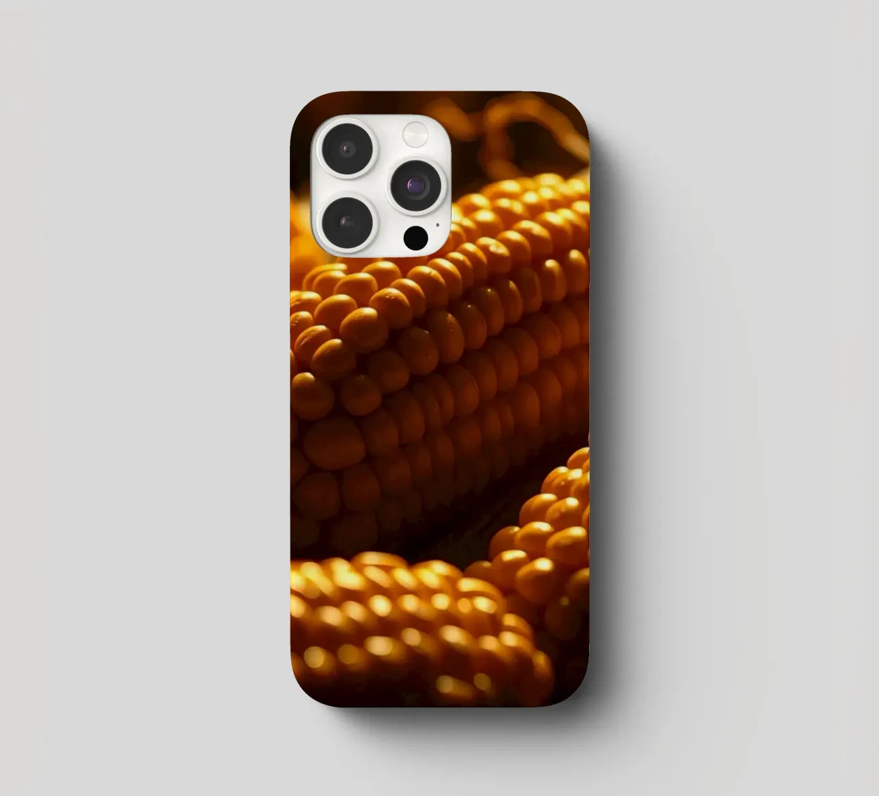Golden corn ears displayed in a rustic setting iphone case by DesignDoodle