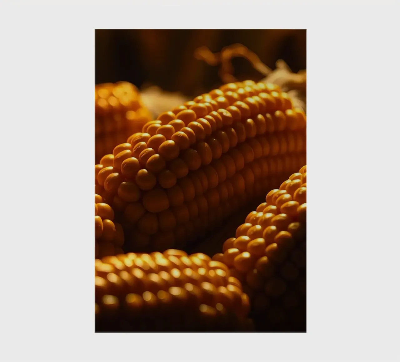 Golden corn ears displayed in a rustic setting notebook by DesignDoodle