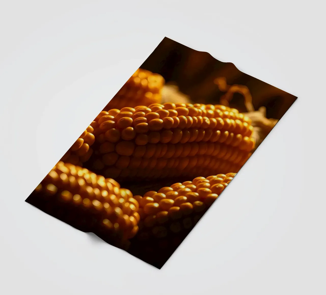 Spighe dorate esposte in un ambiente rustico coperta in pile da DesignDoodle