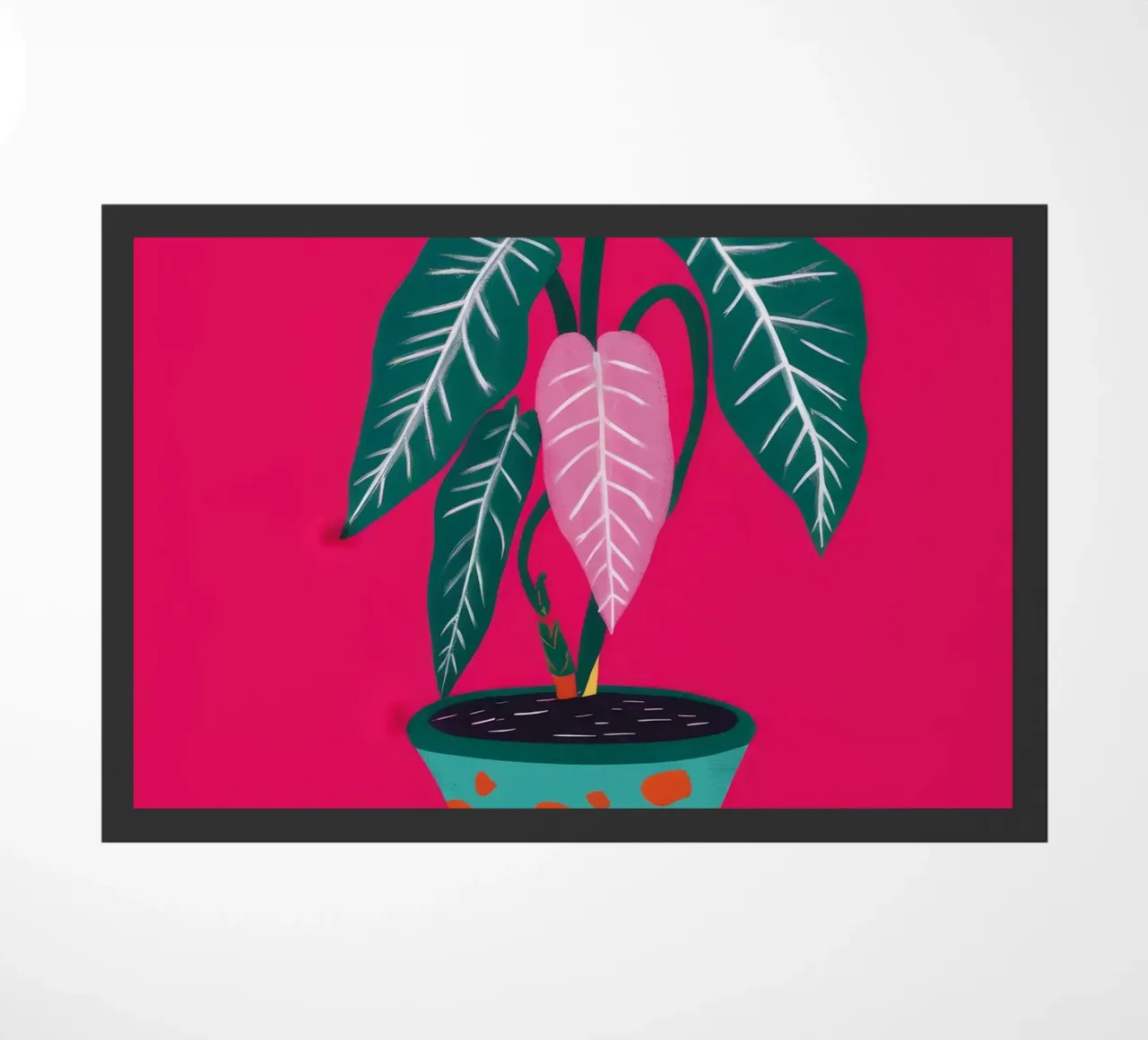 Fucsia Anthurium Pop zerbino da Ember Stone