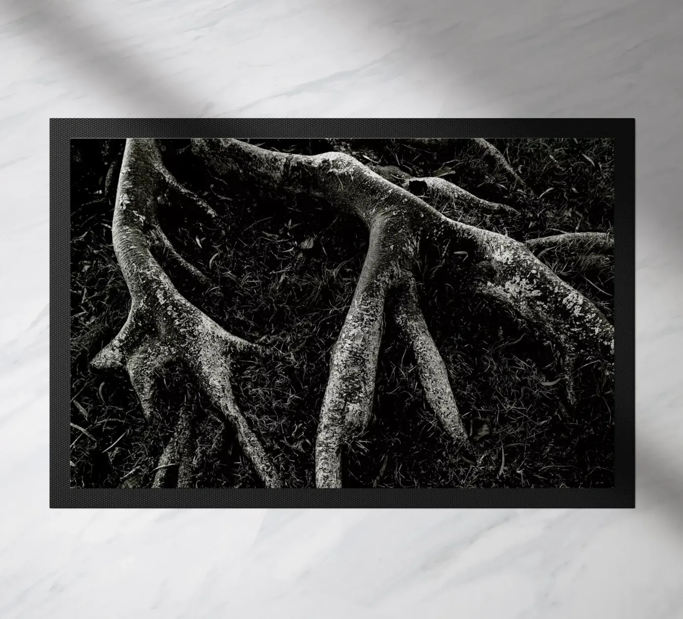 Roots II zerbino da Tal Paz-Fridman