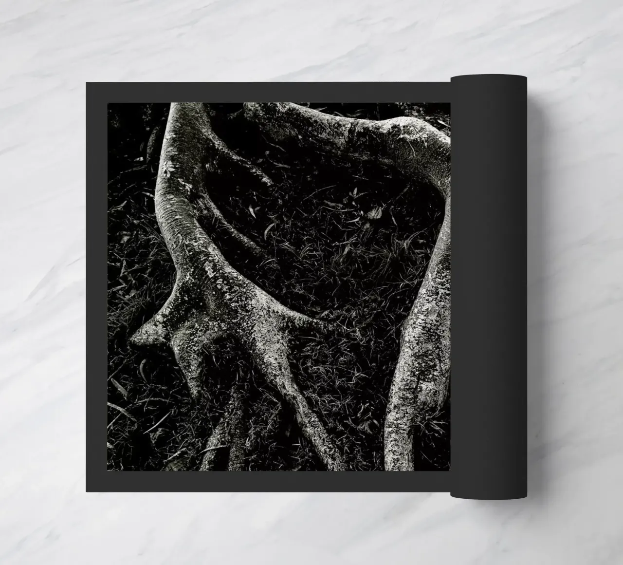 Roots II zerbino da Tal Paz-Fridman