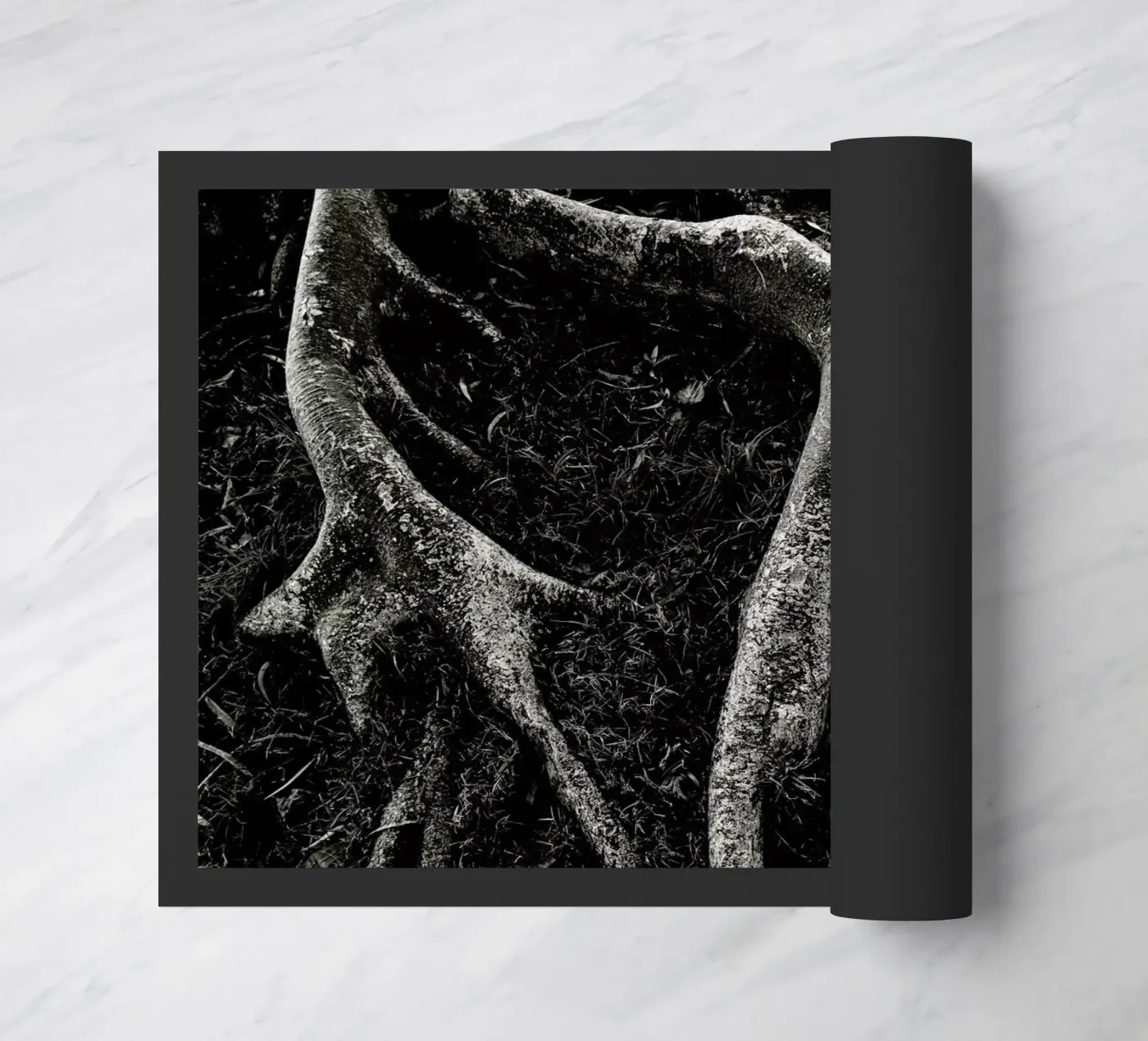 Roots II zerbino da Tal Paz-Fridman