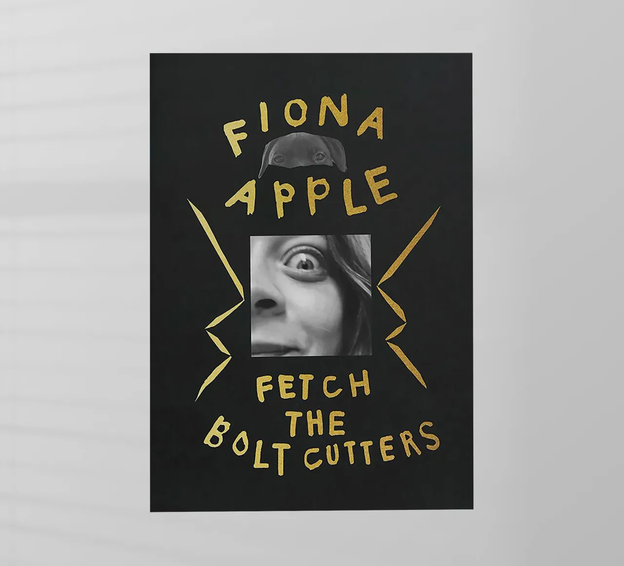Fiona Apple / Fetch the Bolt Cutters pellicola backlit da Attaboy Dsgn