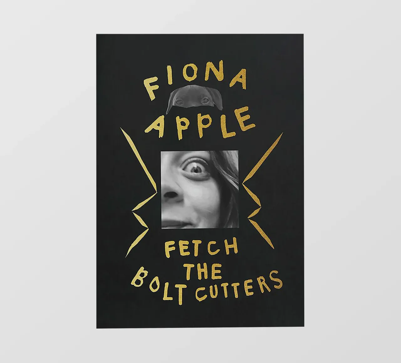 Fiona Apple / Fetch the Bolt Cutters pellicola backlit da Attaboy Dsgn