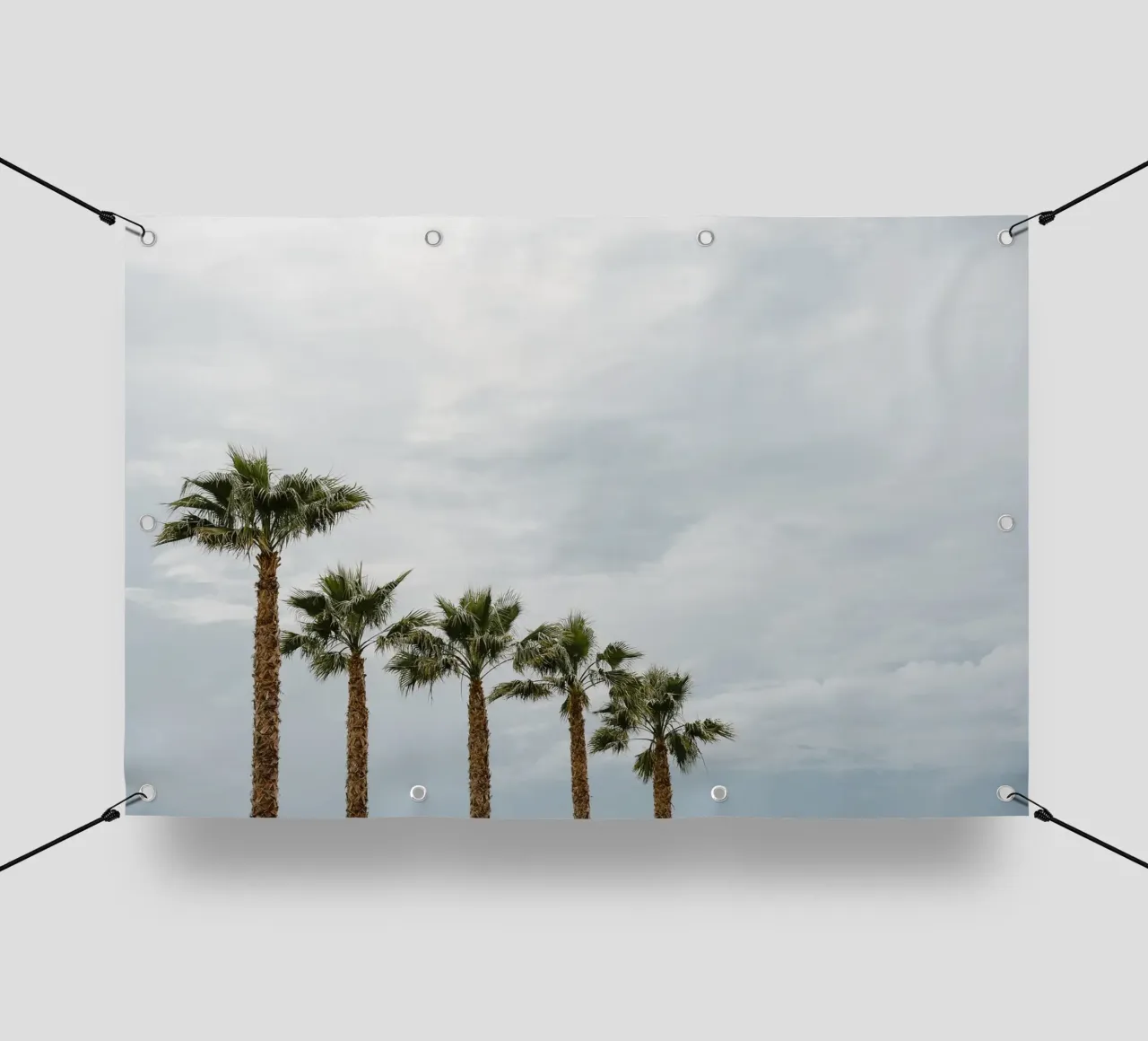 Palm trees in a row at the beach telo in pvc da photolovers