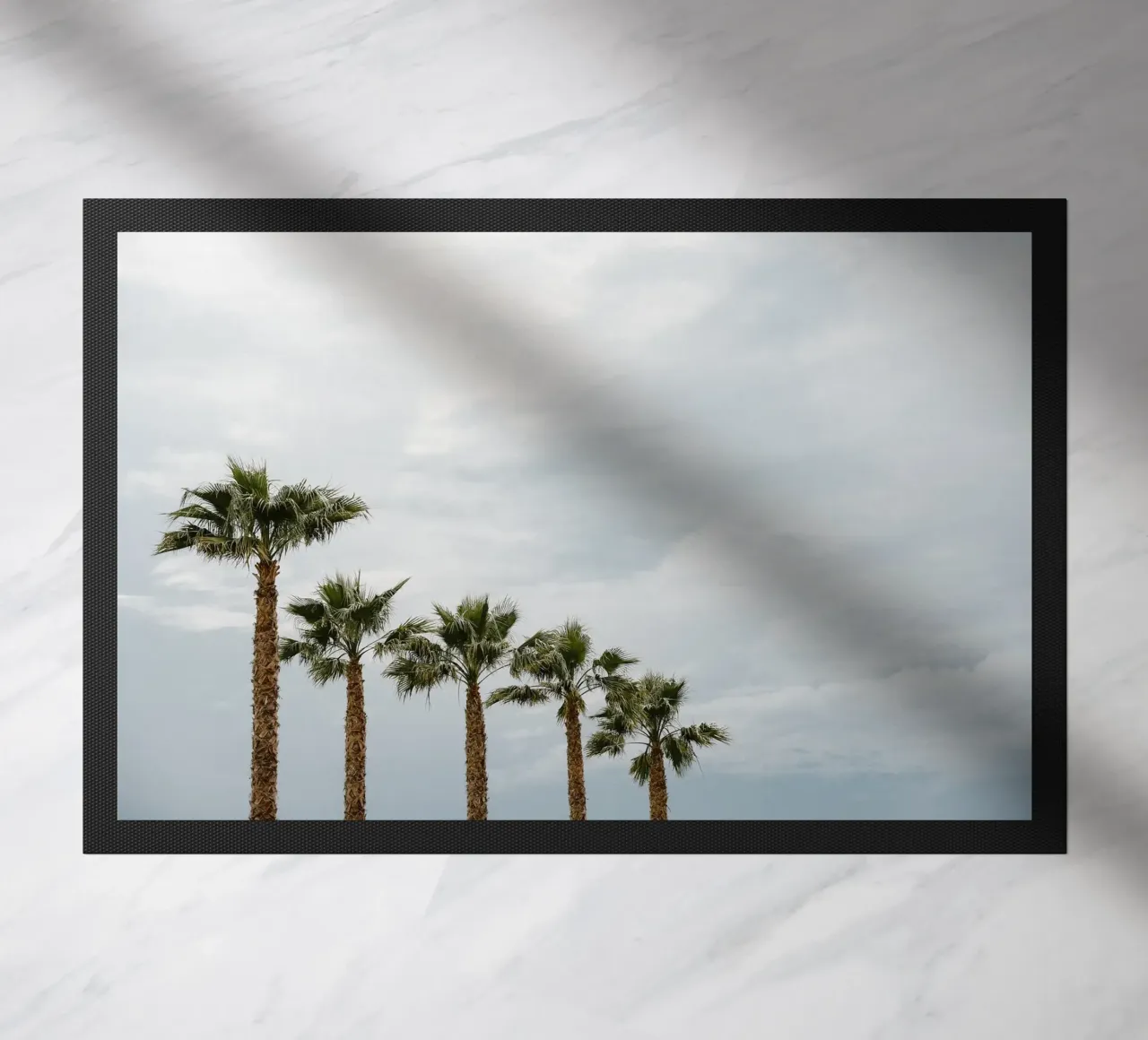 Palm trees in a row at the beach zerbino da photolovers