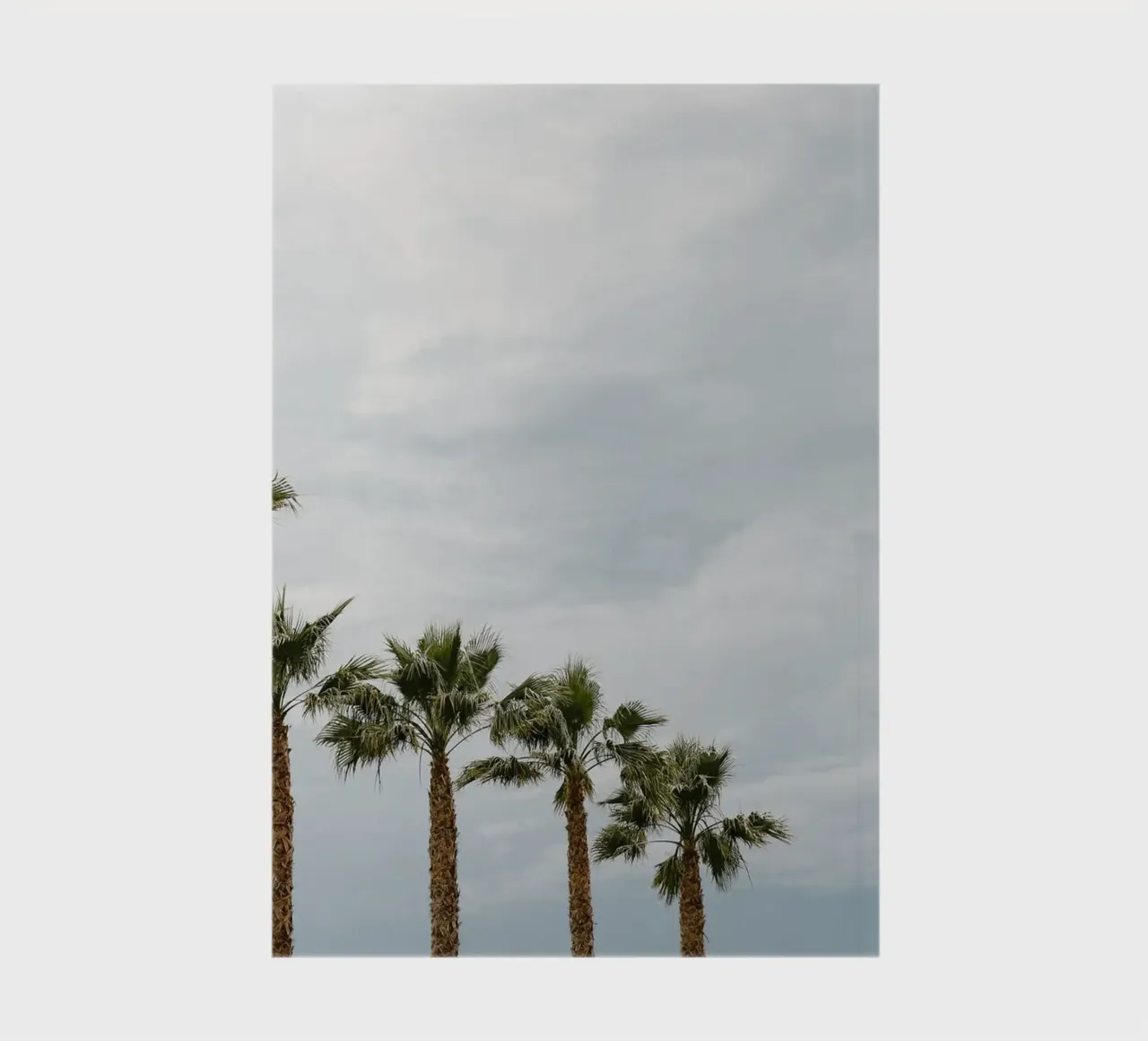 Palm trees in a row at the beach notebook by photolovers
