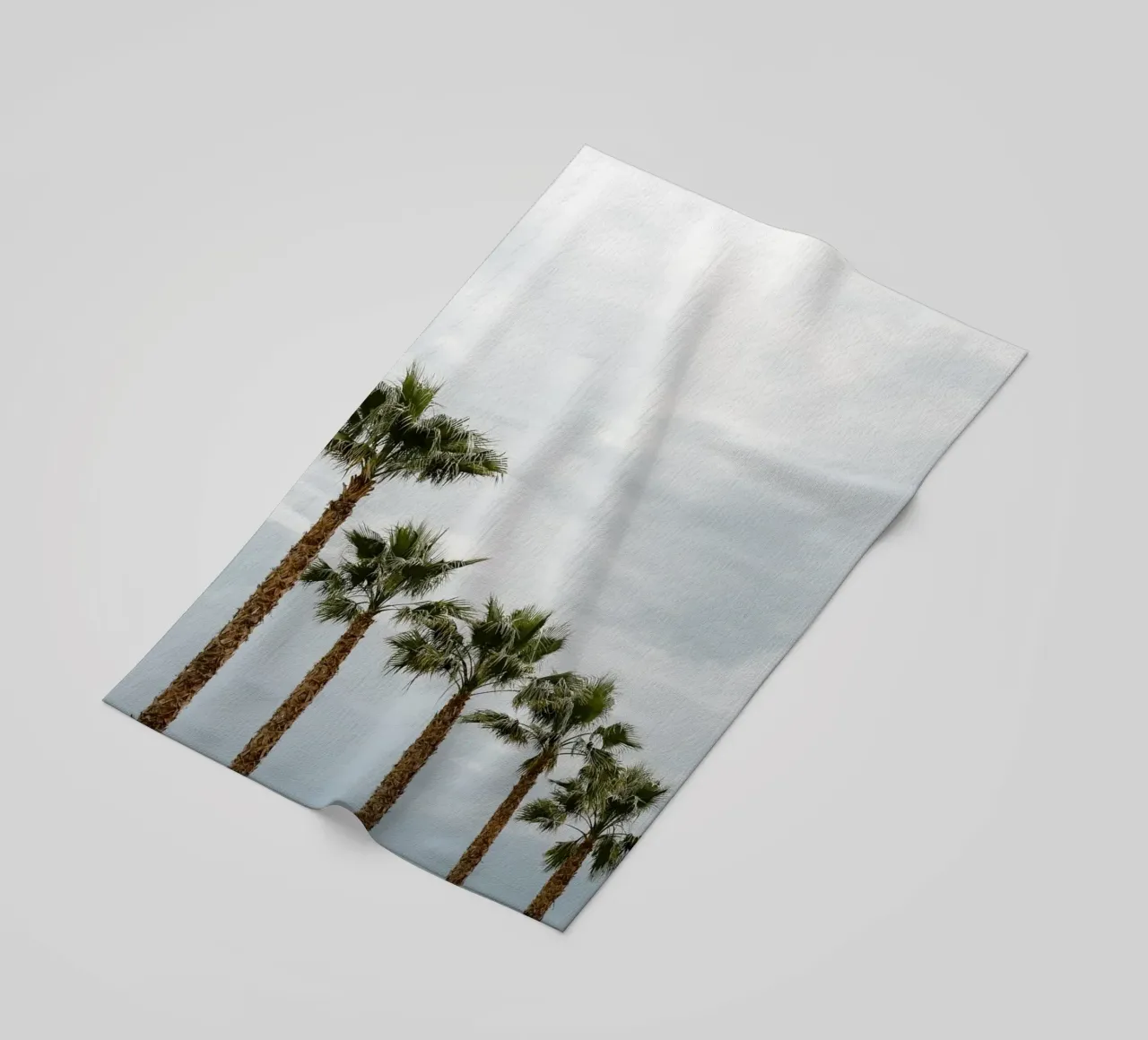 Palm trees in a row at the beach telo mare da photolovers