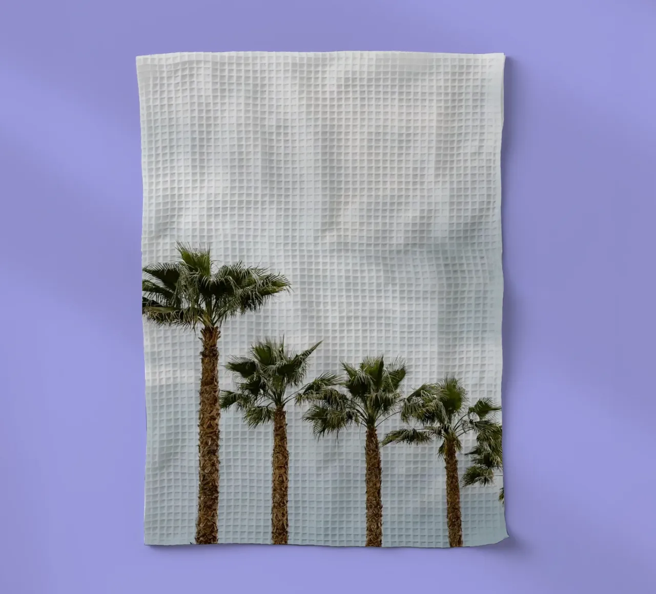 Palm trees in a row at the beach torchon de photolovers