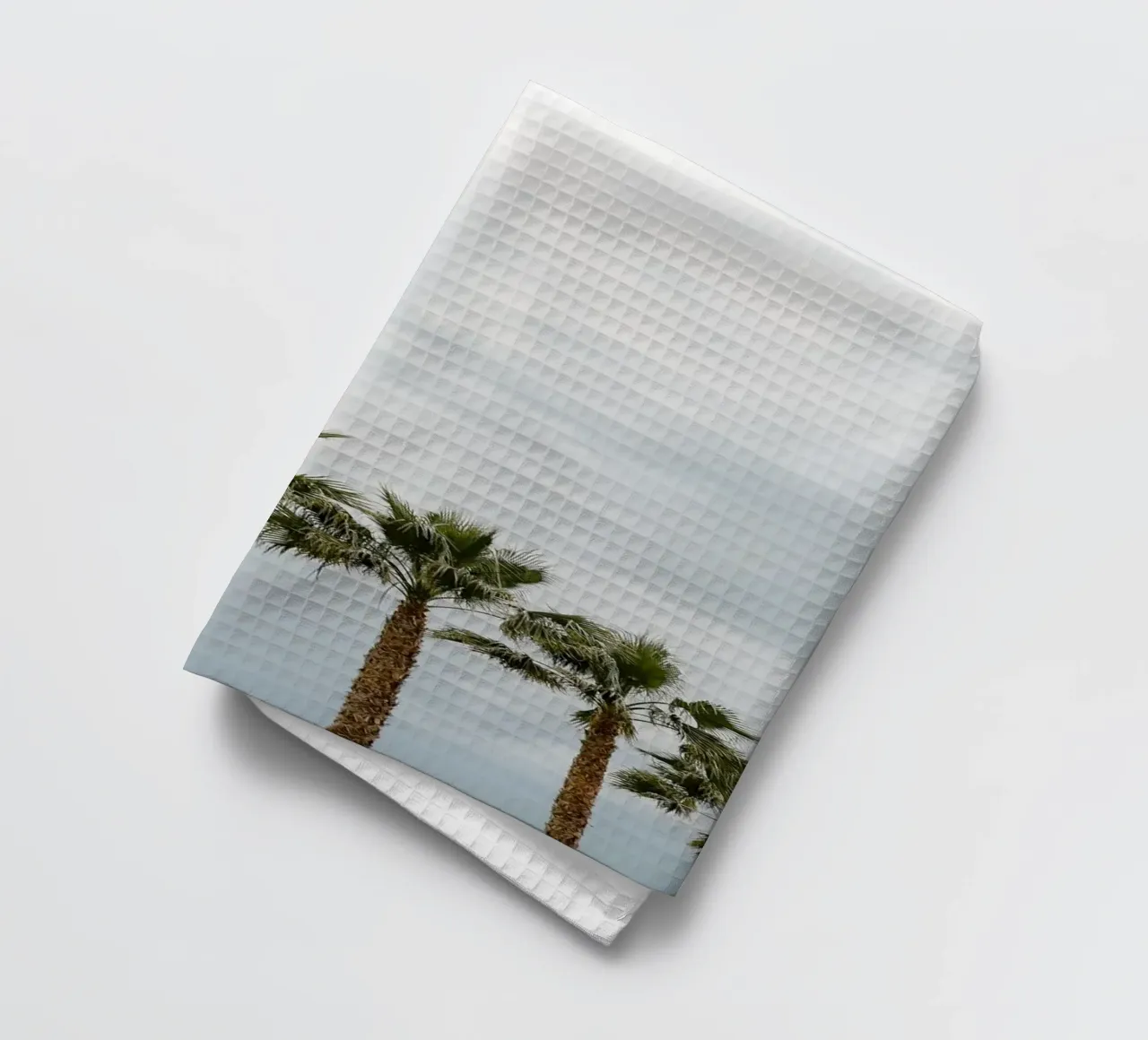 Palm trees in a row at the beach torchon de photolovers