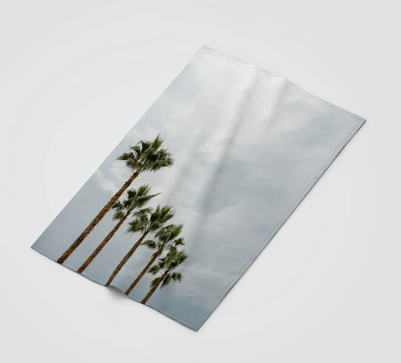 Palm trees in a row at the beach coperta in pile da photolovers