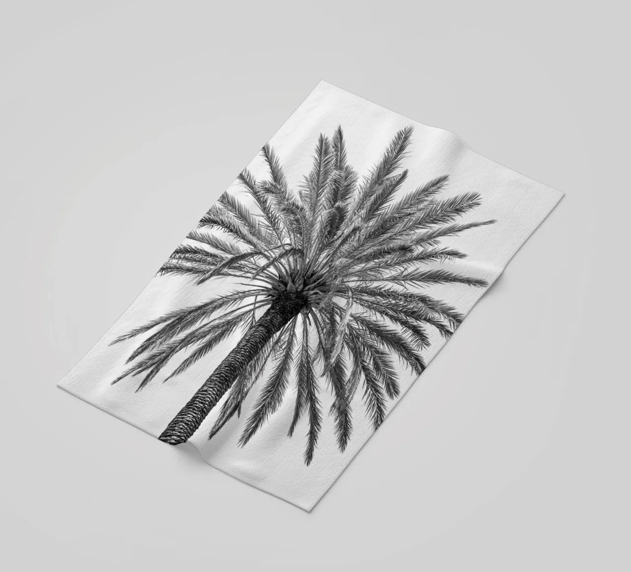 Palm tree in Italy telo mare da photolovers