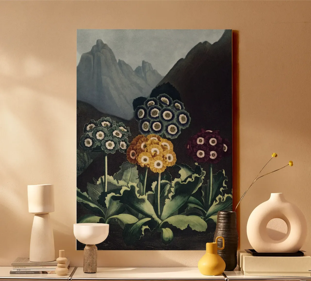Vintage Thornton 6 Auriculas tela con Cornice a cassetta da Vintage Print Collection