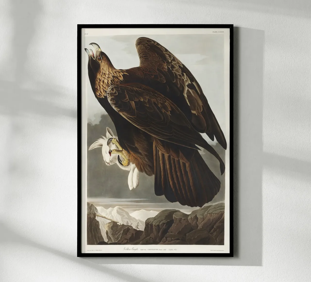 Golden Eagle carta hahnemühle da vintageshop