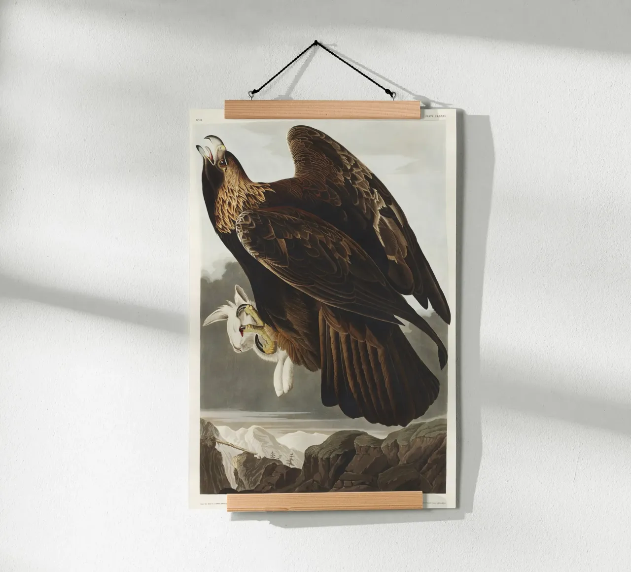 Golden Eagle carta hahnemühle da vintageshop