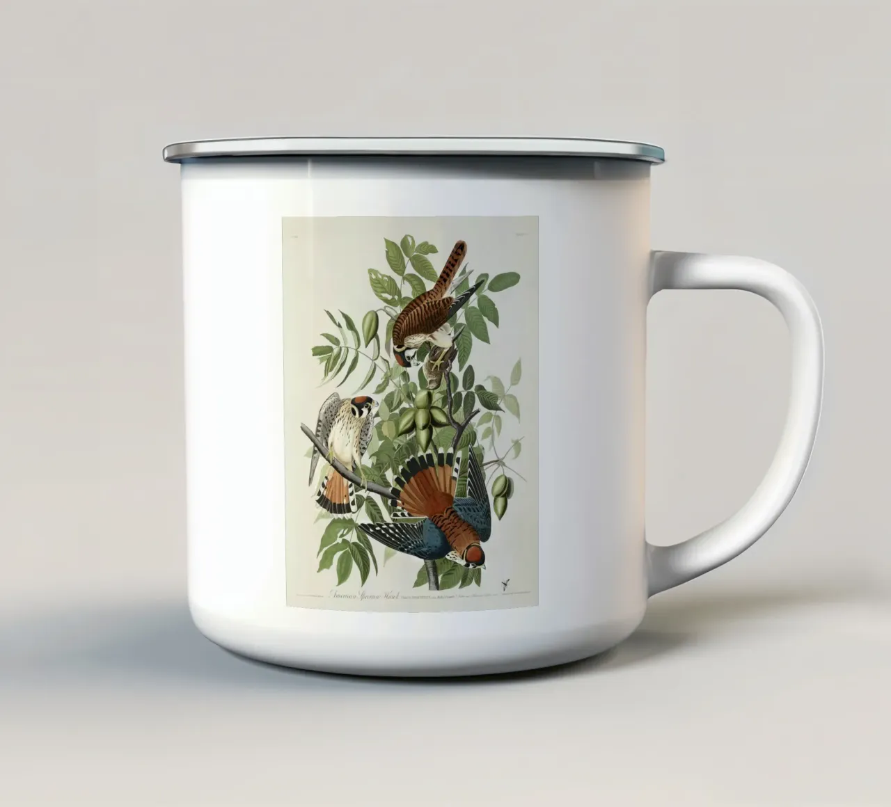 American Sparrow Hawk tazza in smalto da vintageshop