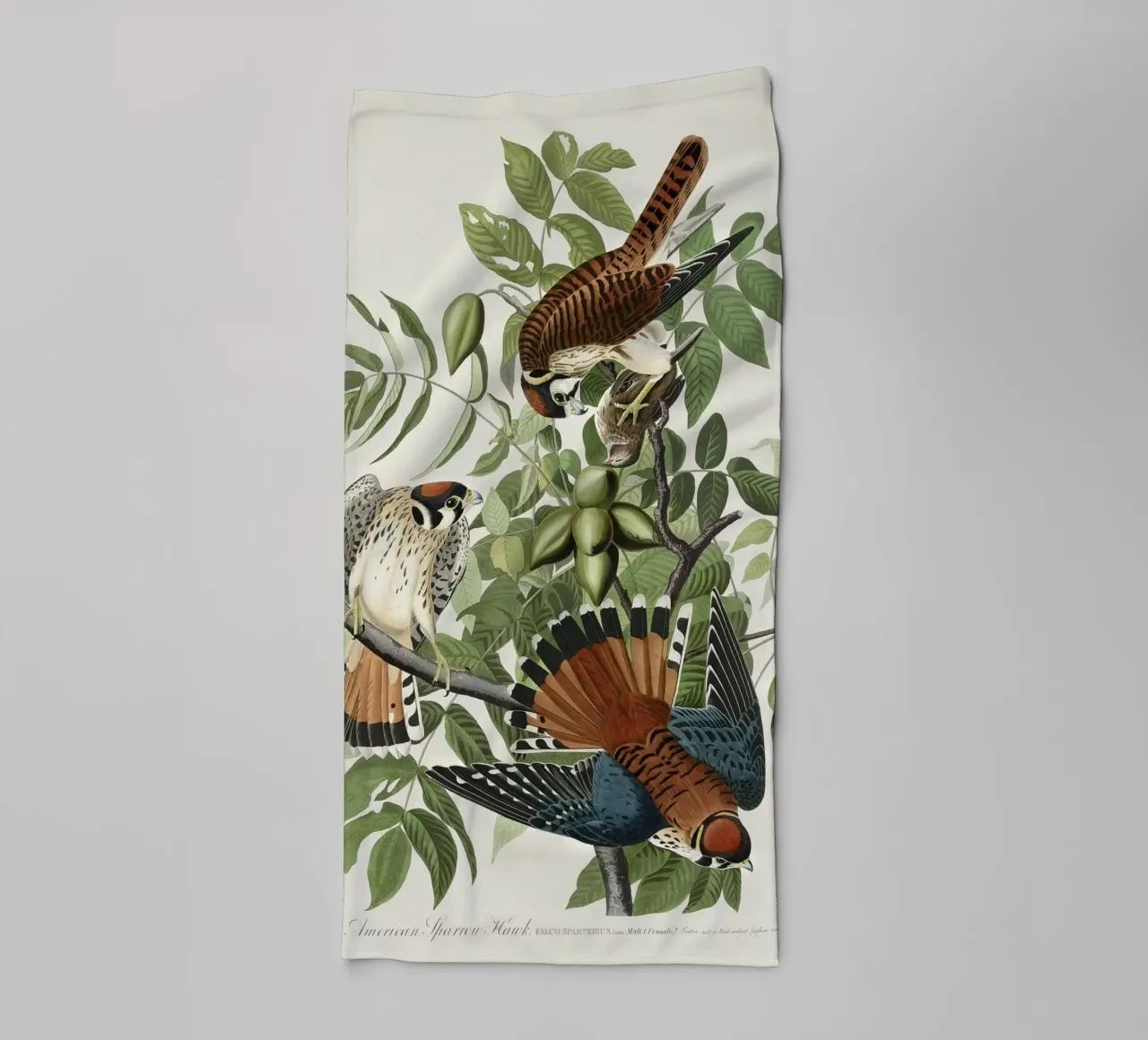 American Sparrow Hawk toalla de baño de vintageshop