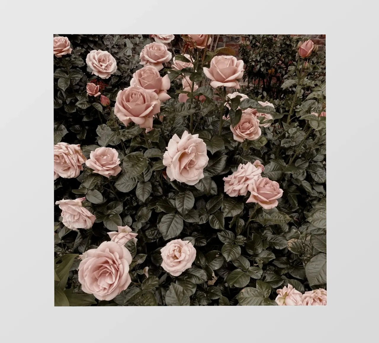 Gothic Garden pvc cover by Cassia Beck Photography