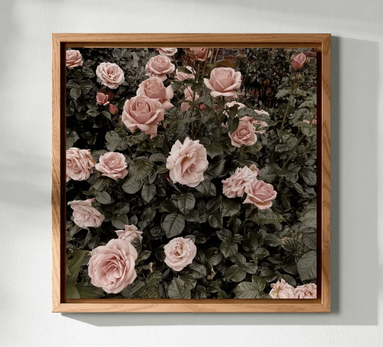 Gothic Garden forex plate by Cassia Beck Photography