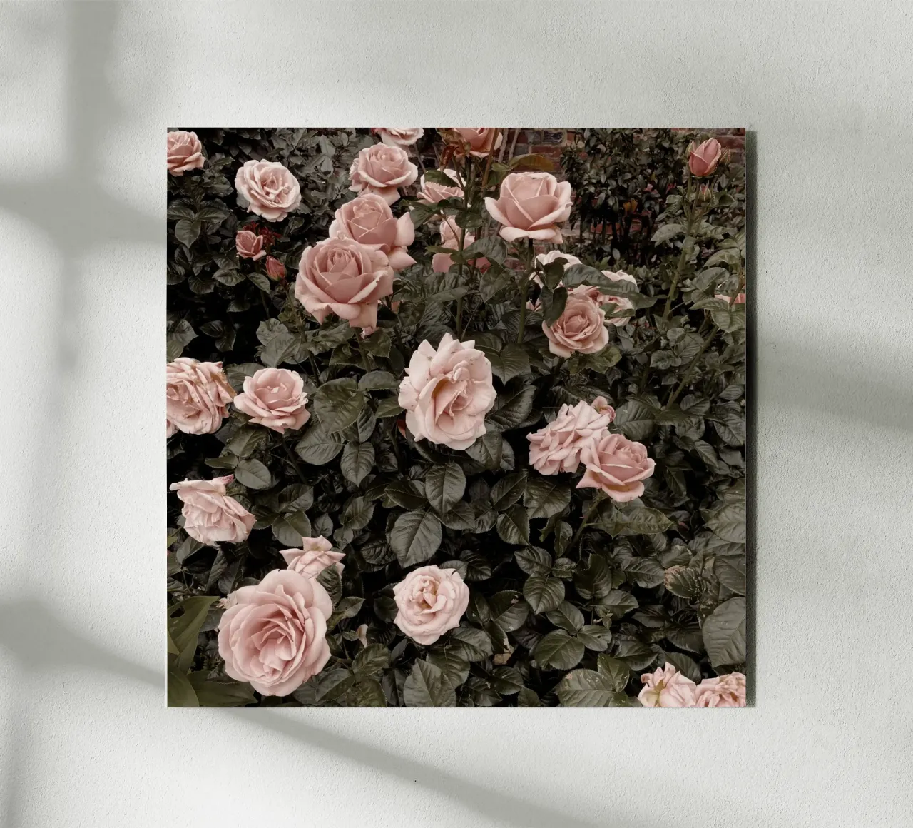 Gothic Garden forex plate by Cassia Beck Photography