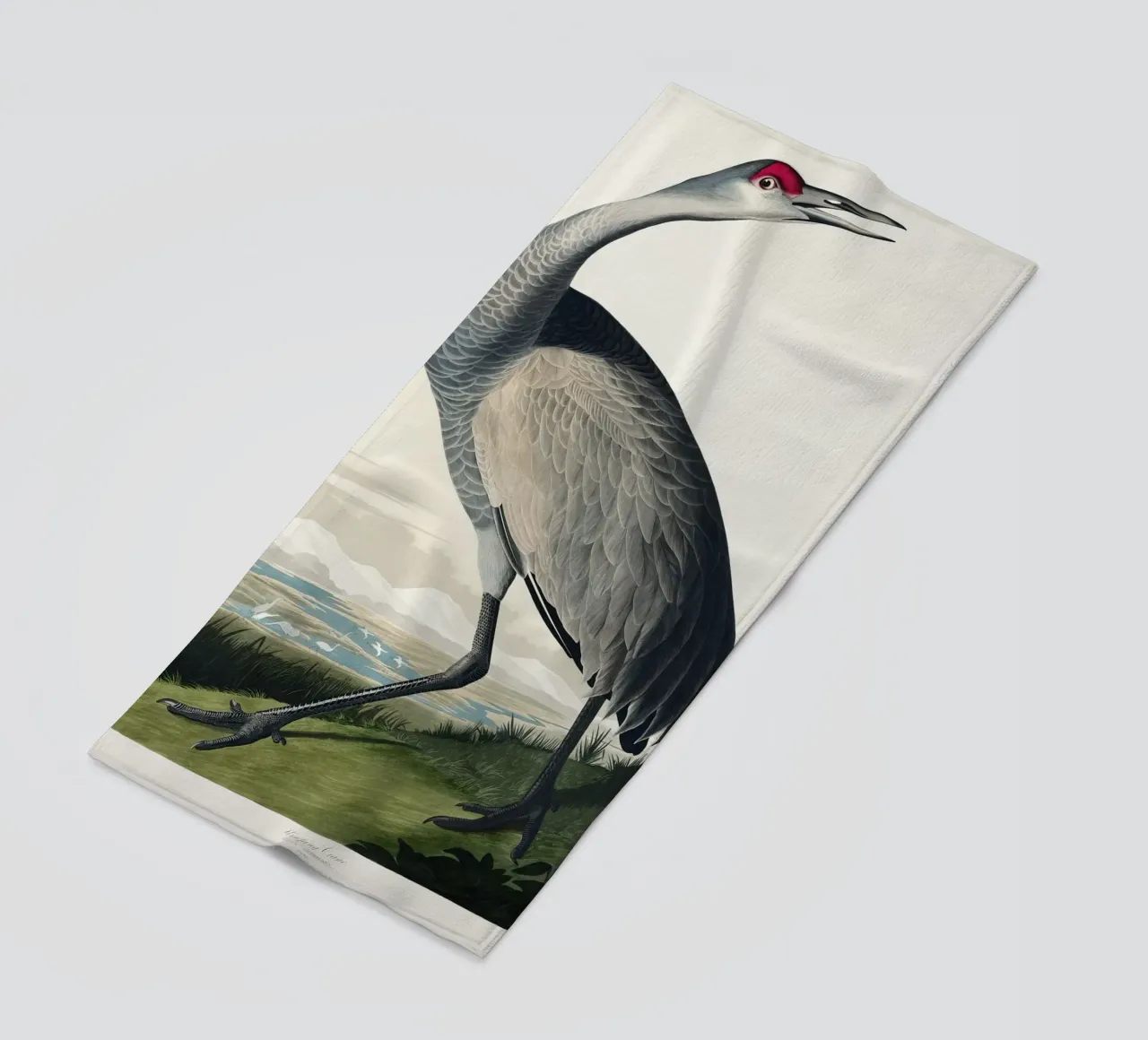 Hooping Crane telo mare da vintageshop