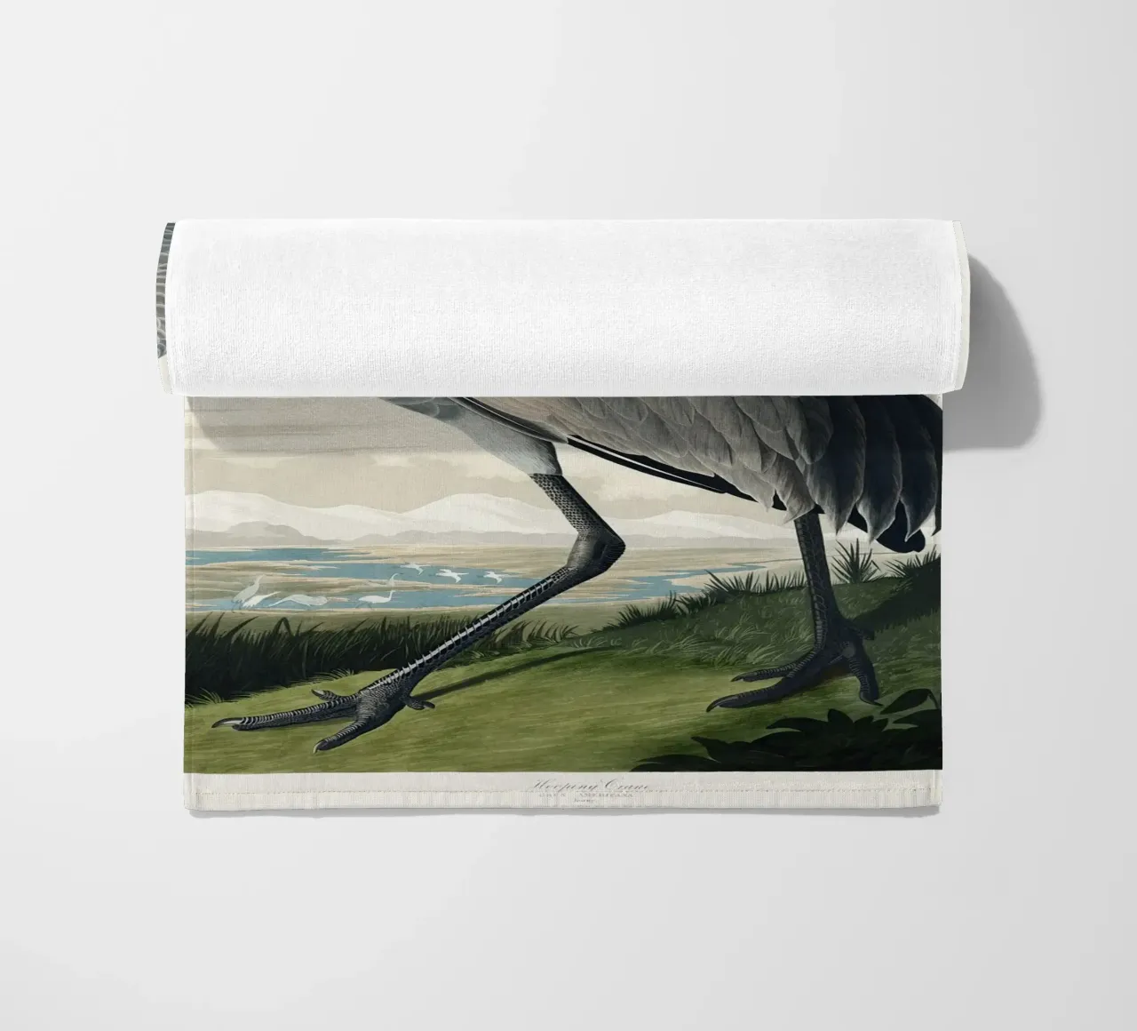 Hooping Crane telo mare da vintageshop