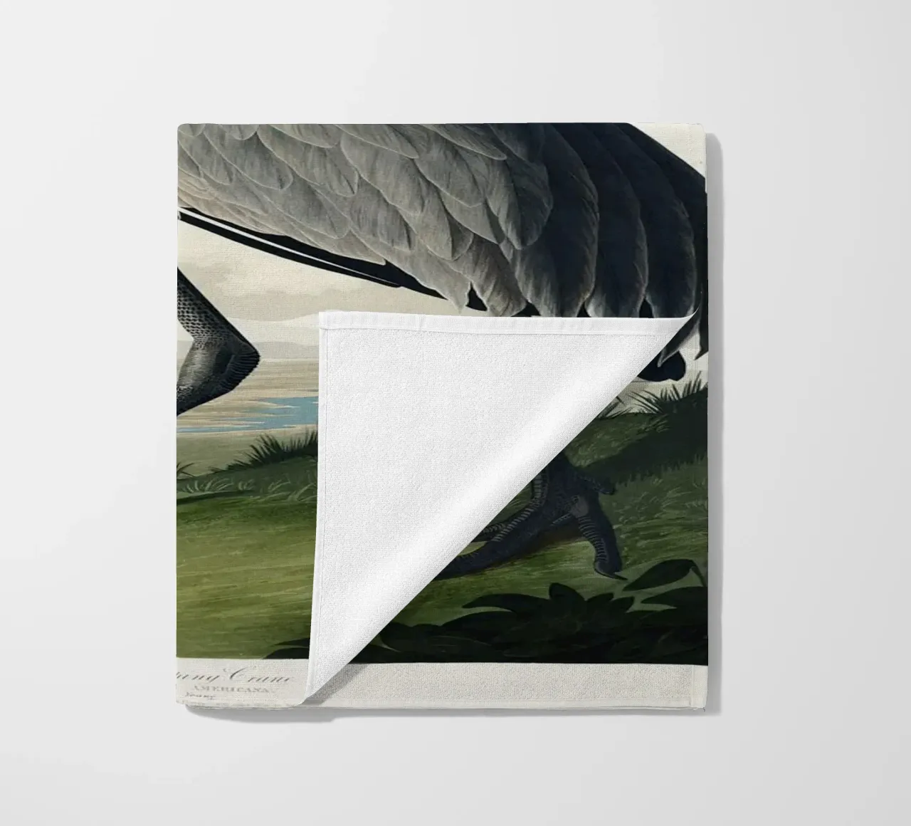 Hooping Crane telo mare da vintageshop