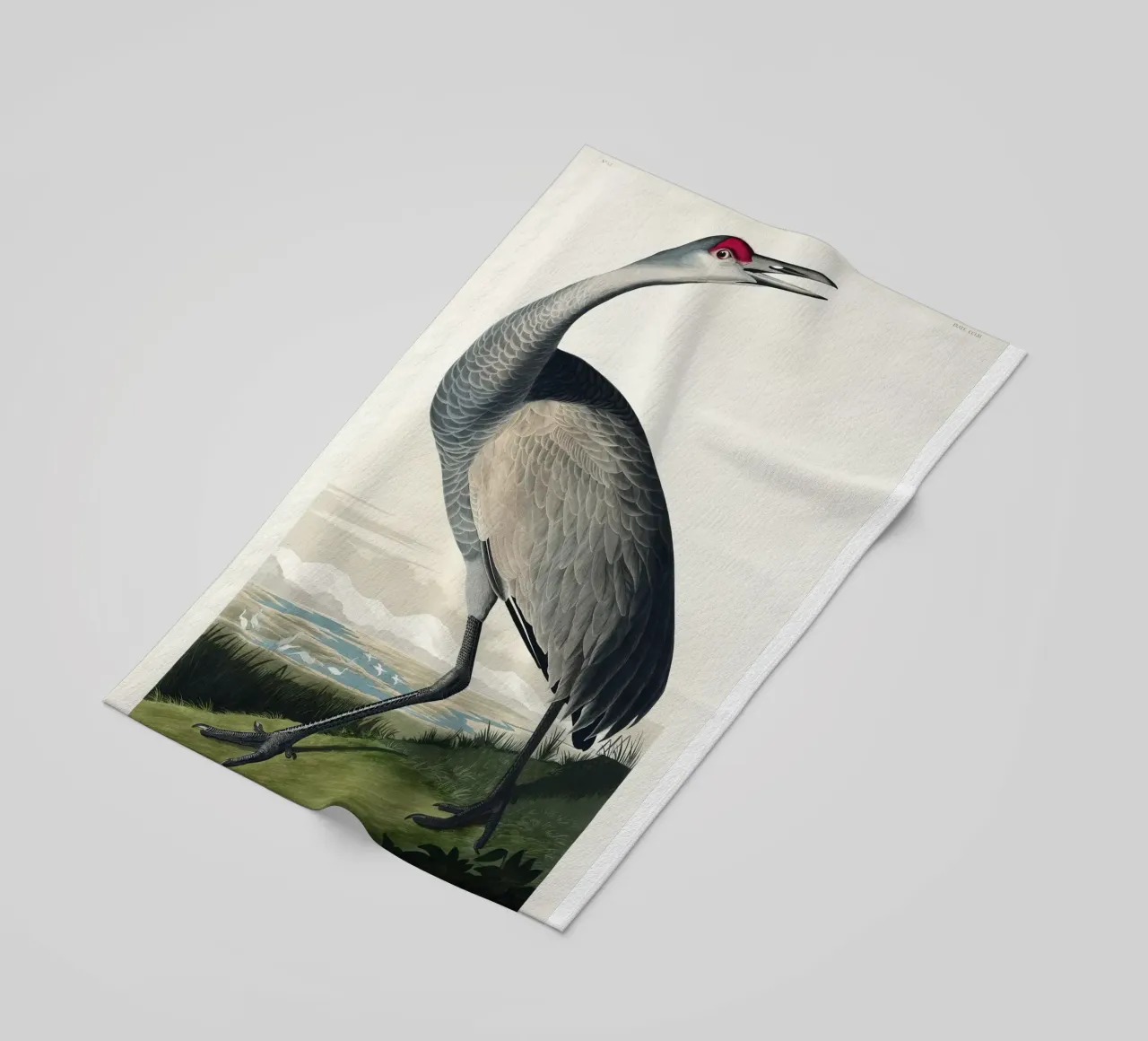 Hooping Crane telo mare da vintageshop