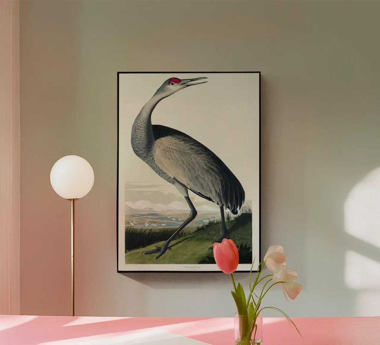 Hooping Crane plexiglass da vintageshop