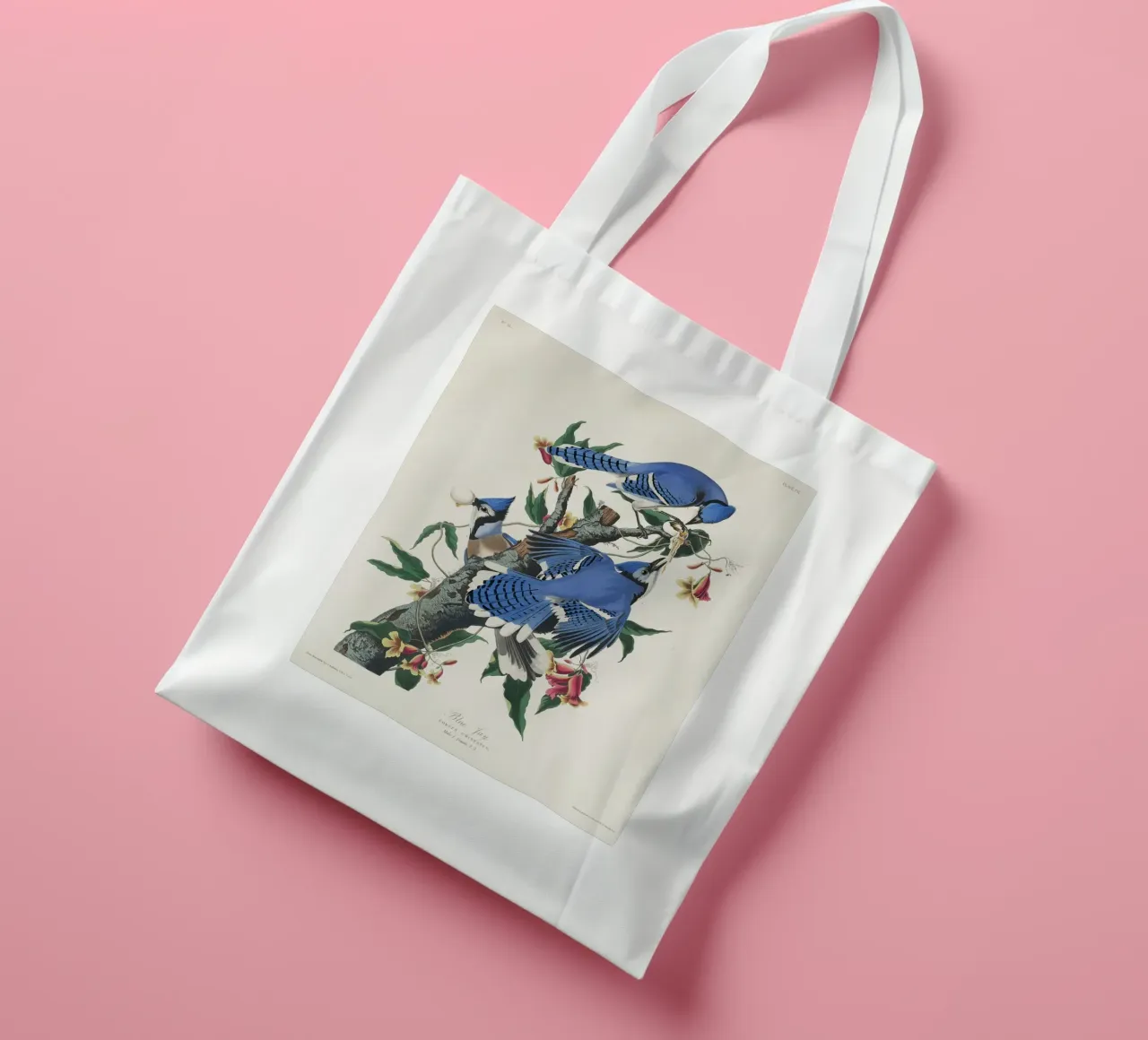 Blue Jay from Birds tote bag by vintageshop