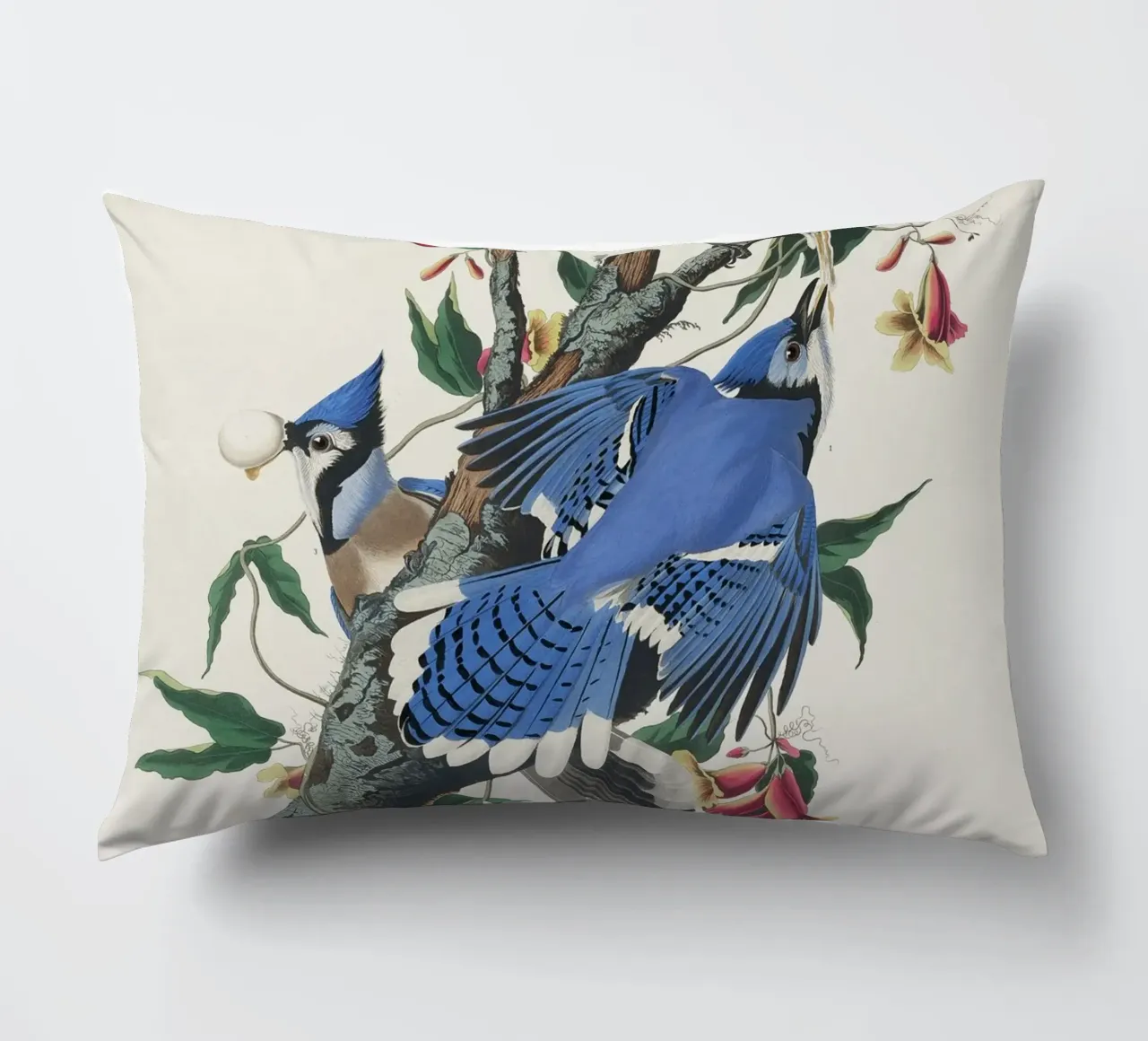 Blue Jay from Birds cuscino da vintageshop