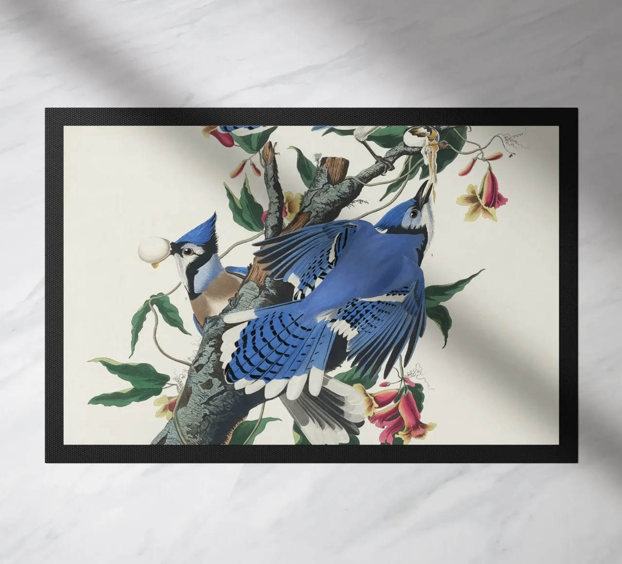 Blue Jay from Birds zerbino da vintageshop