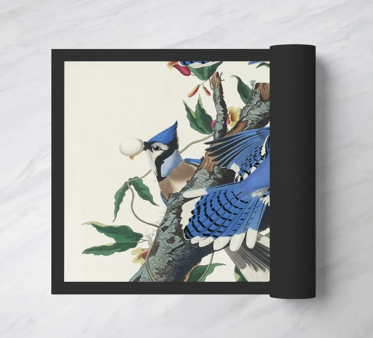 Blue Jay from Birds zerbino da vintageshop