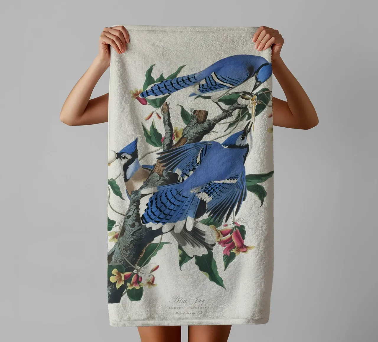 Blue Jay from Birds asciugamano da bagno da vintageshop