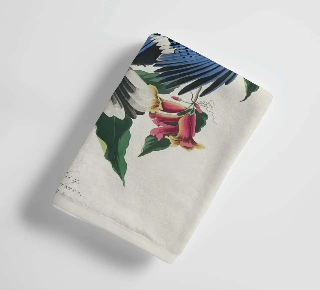 Blue Jay from Birds asciugamano da bagno da vintageshop