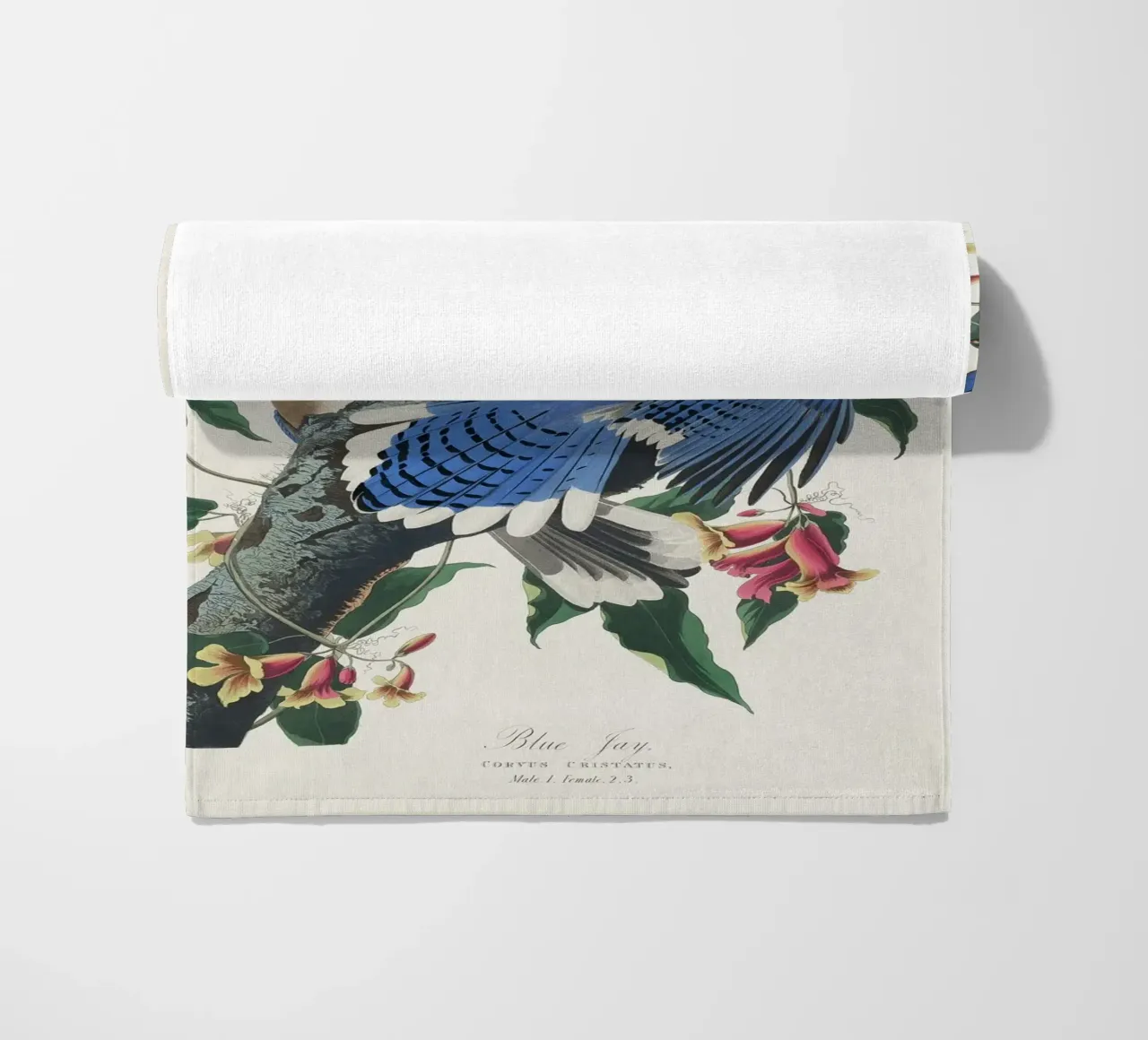 Blue Jay from Birds telo mare da vintageshop