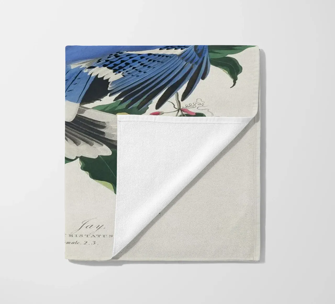 Blue Jay from Birds telo mare da vintageshop