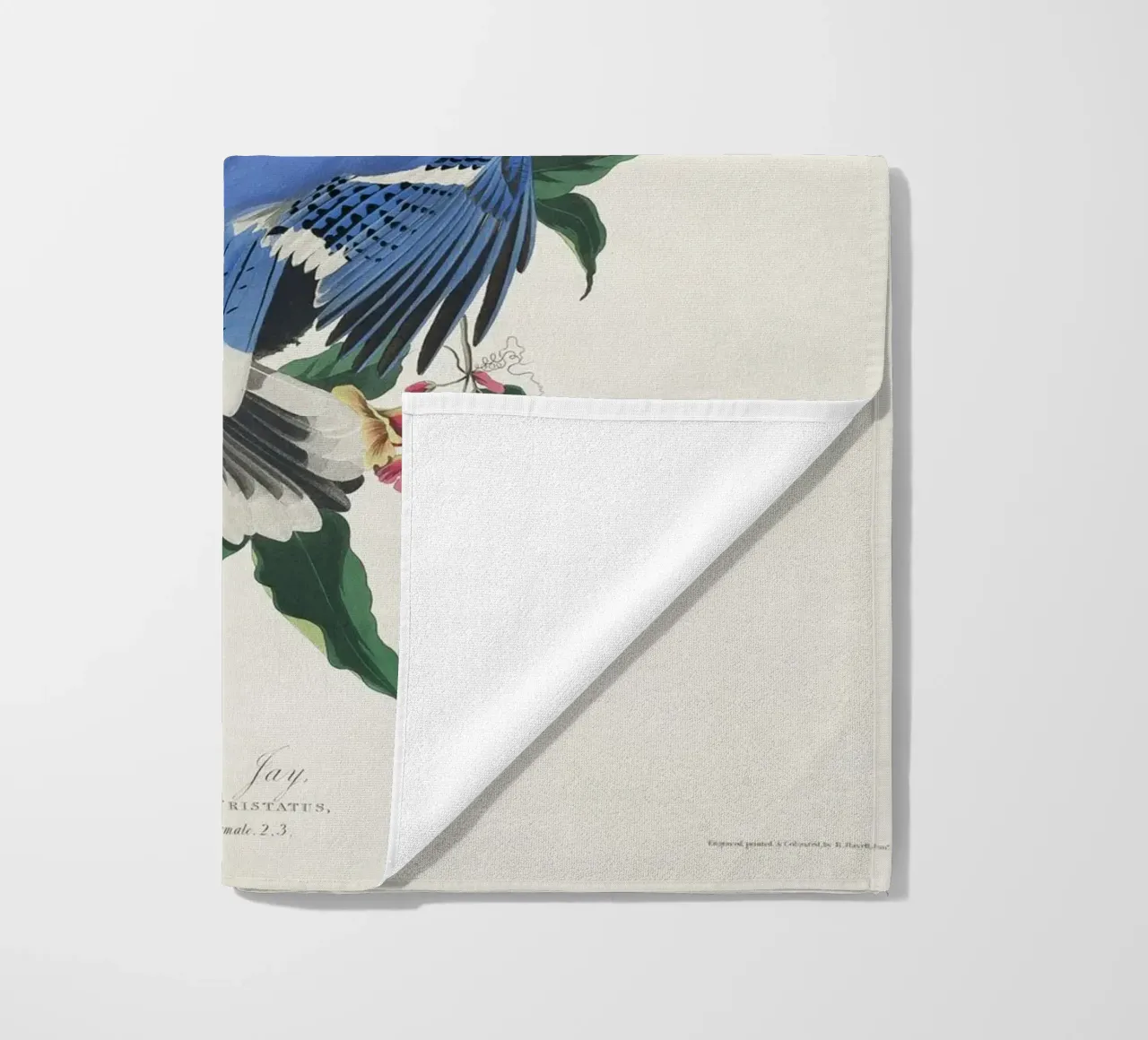 Blue Jay from Birds telo mare da vintageshop
