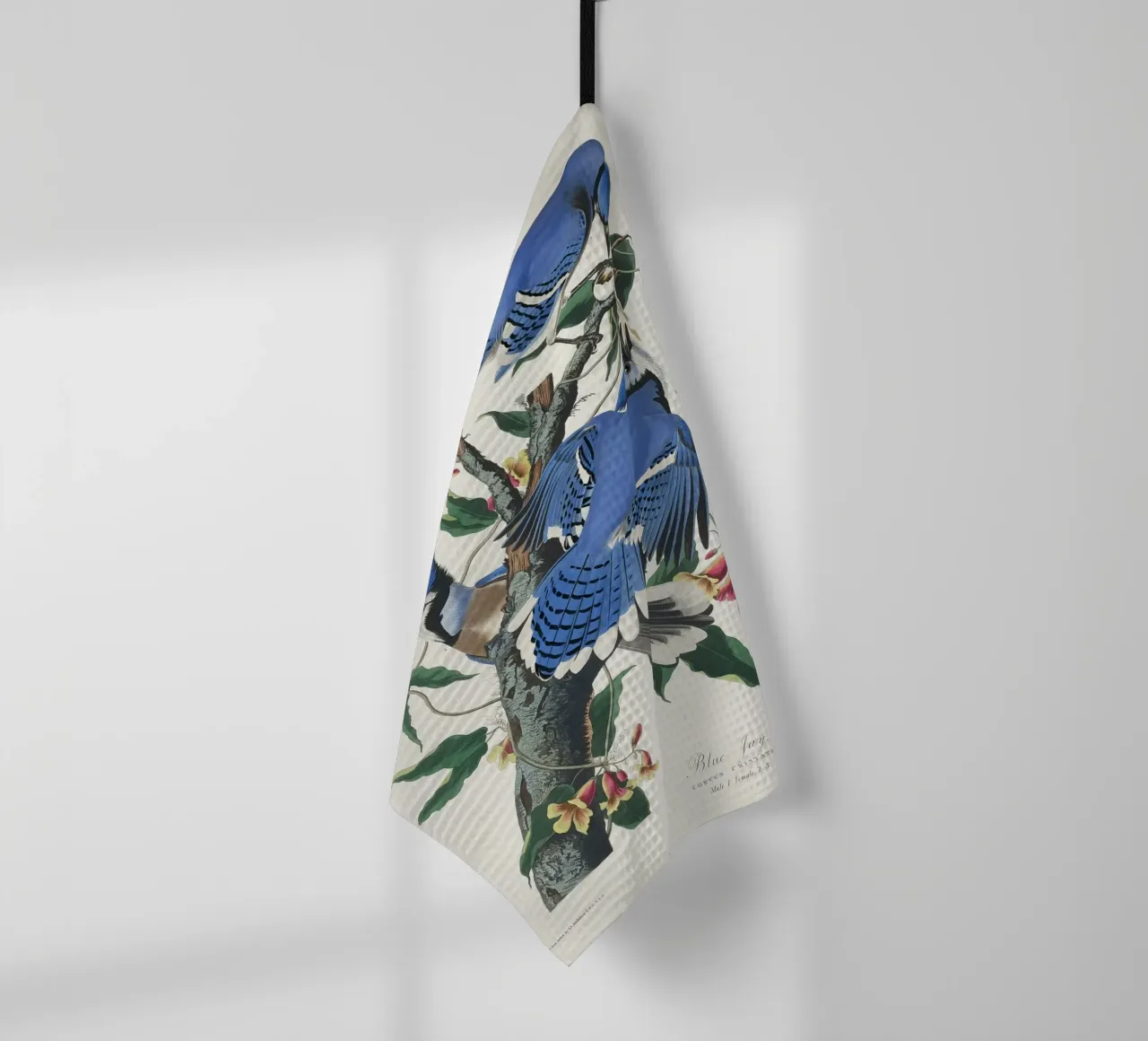 Blue Jay from Birds canovaccio da cucina da vintageshop