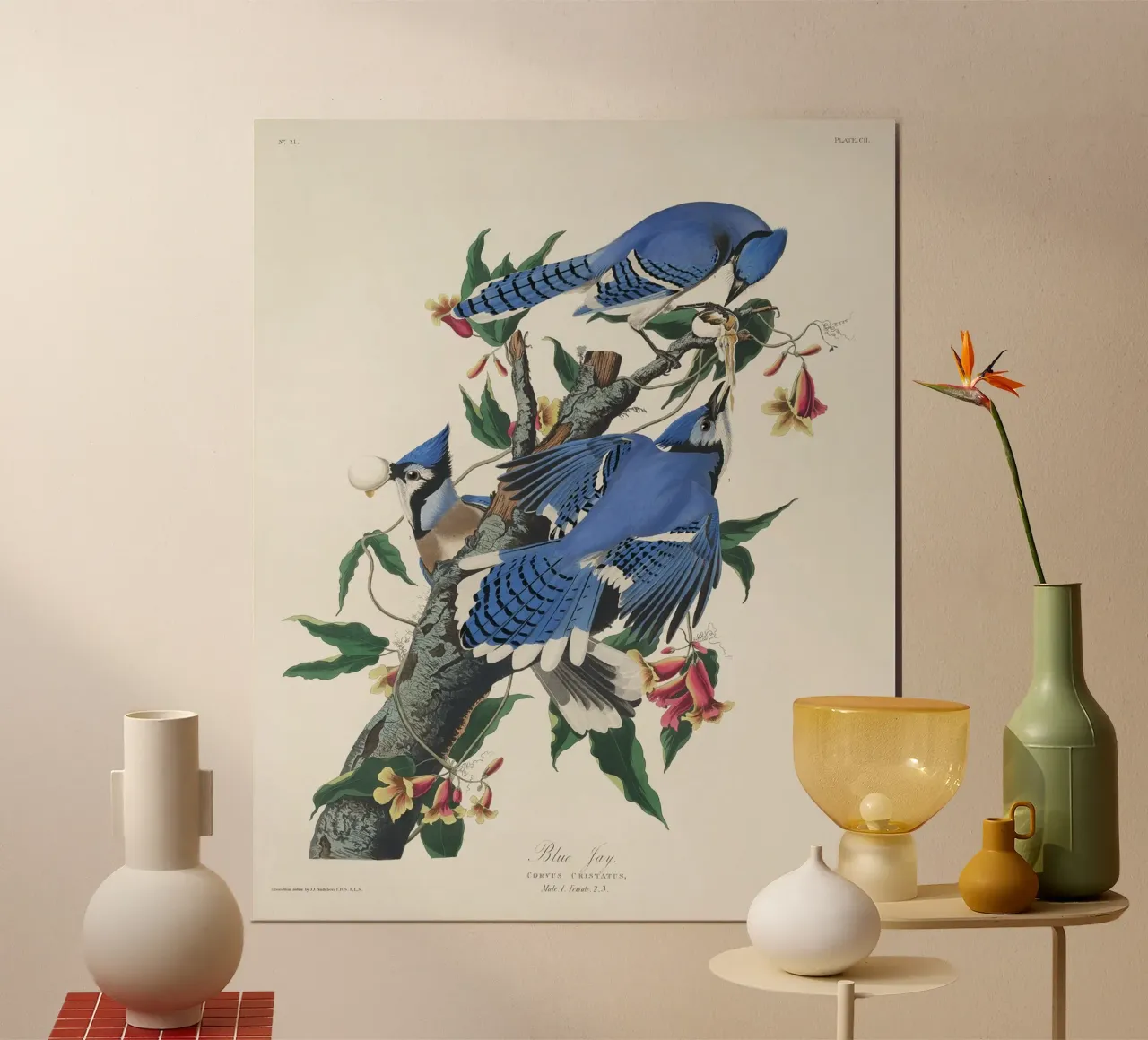 Blue Jay from Birds carta hahnemühle da vintageshop