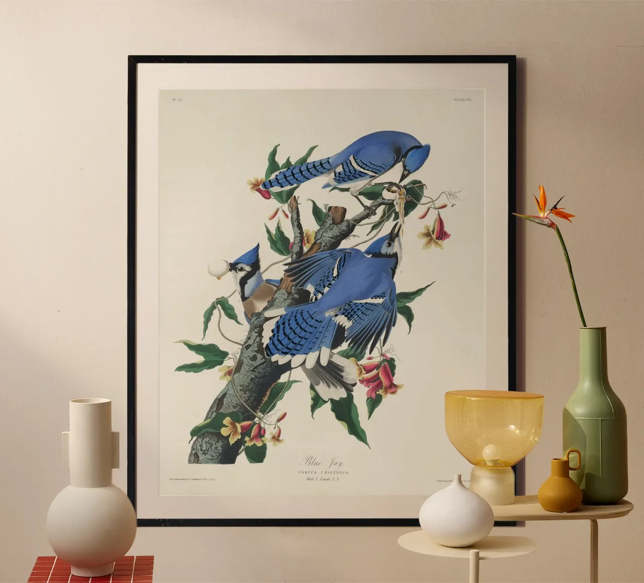 Blue Jay from Birds carta hahnemühle da vintageshop