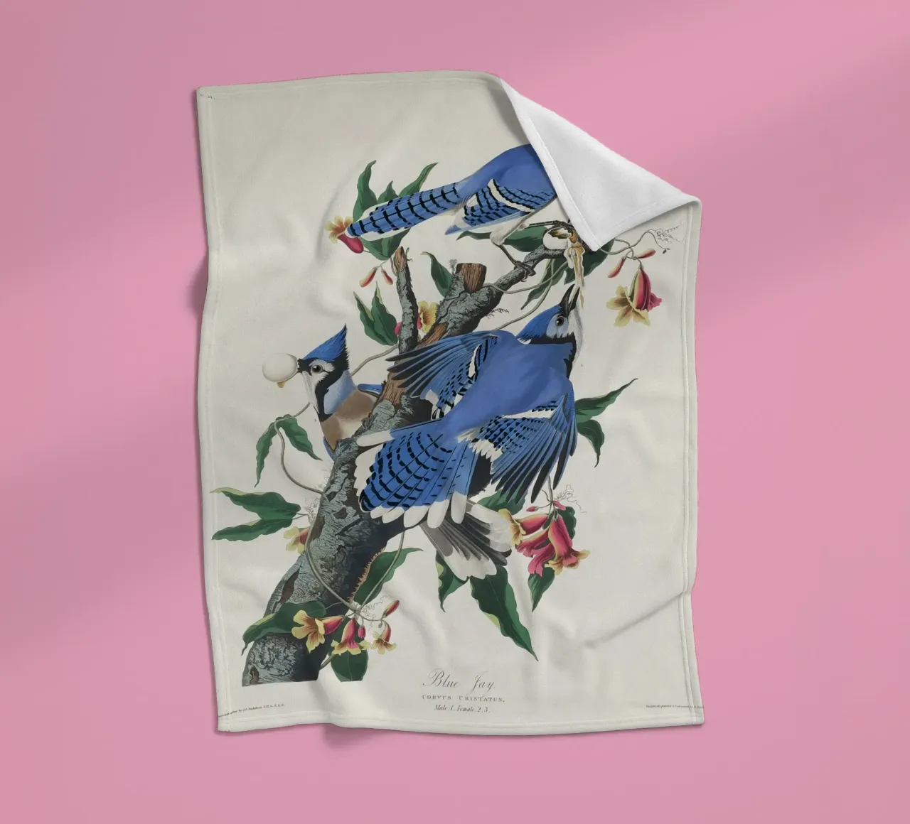 Blue Jay from Birds coperta in pile da vintageshop