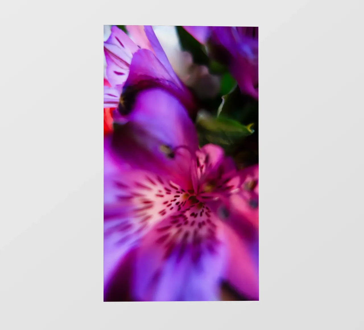Pink Orchidee telo in pvc da Flo Klein