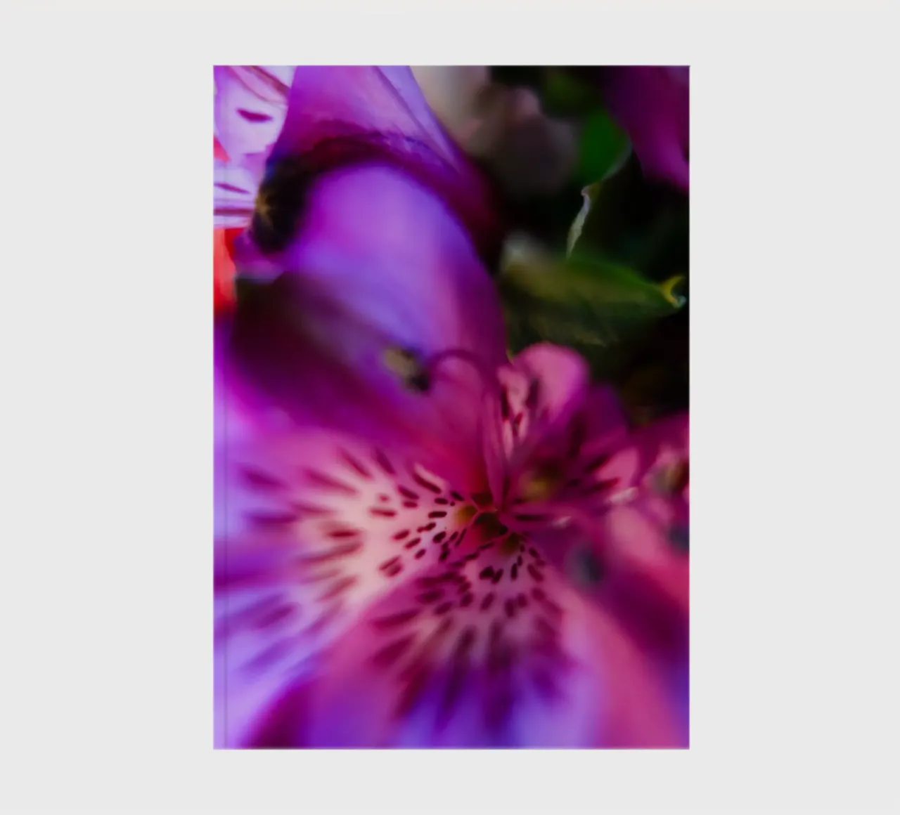 Pink Orchidee carnet de notes de Flo Klein