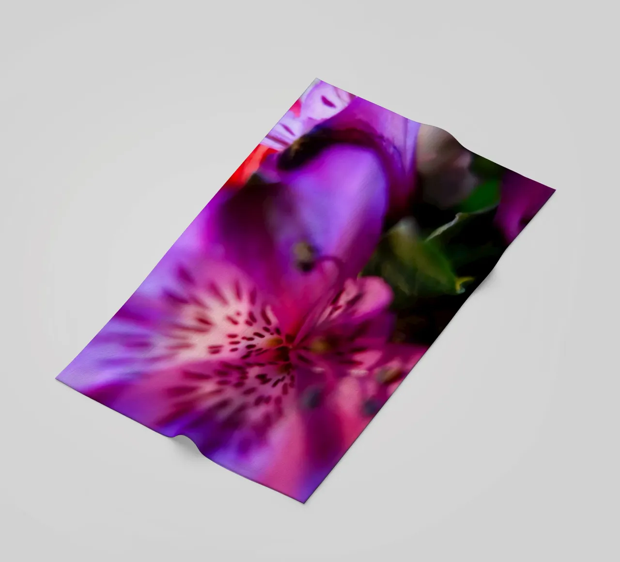 Pink Orchidee telo mare da Flo Klein