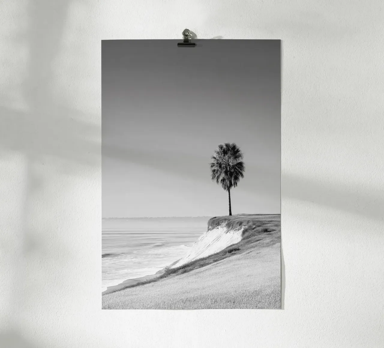 Lone Palm Tree on Coastal Cliff hahnemühle by Indigo Tides Art