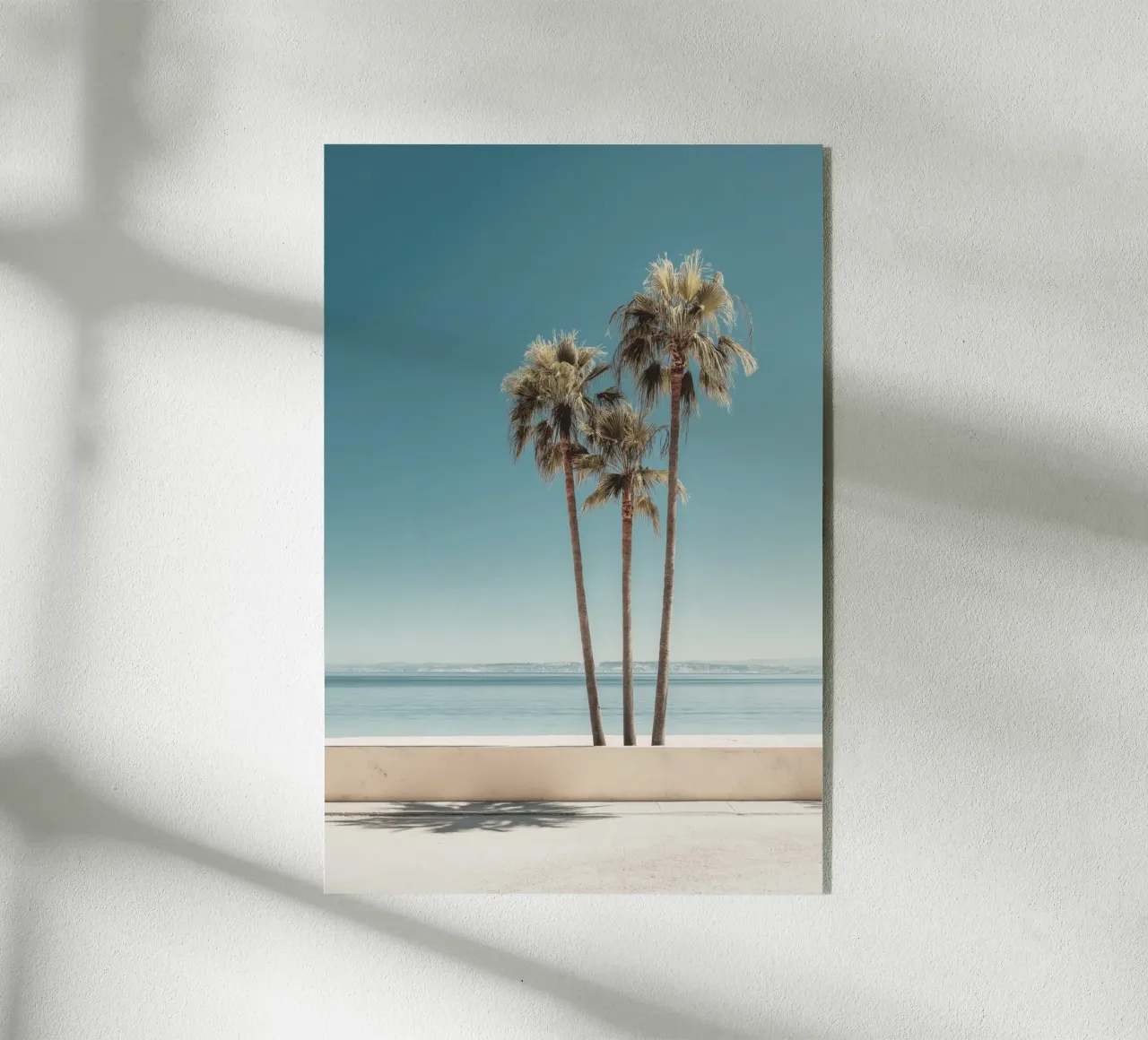 Palmiers californiens avec vue sur l'océan plexiglas de Indigo Tides Art