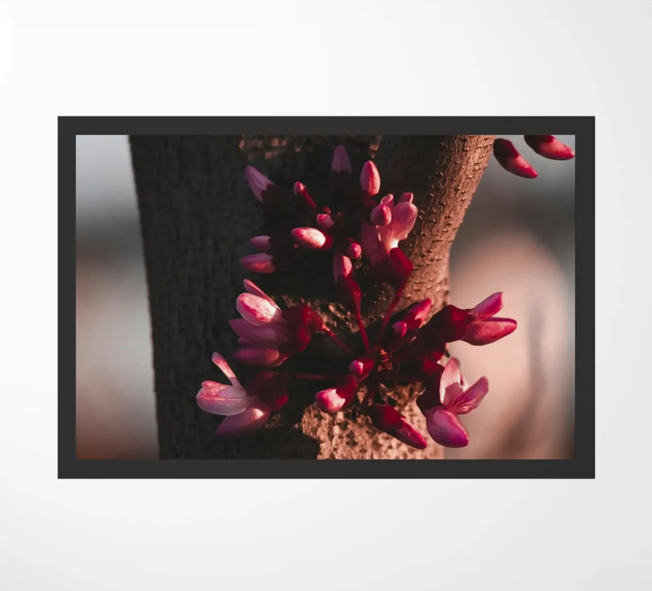 tree trunk doormat by Earthly Visions